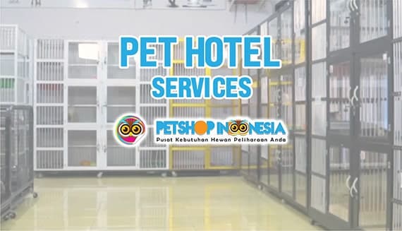 Kaili's Pets Shop: Tempat Favorit Peliharaan di Cilacap